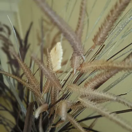 Manzoni Aparts - Comfort Apartament *